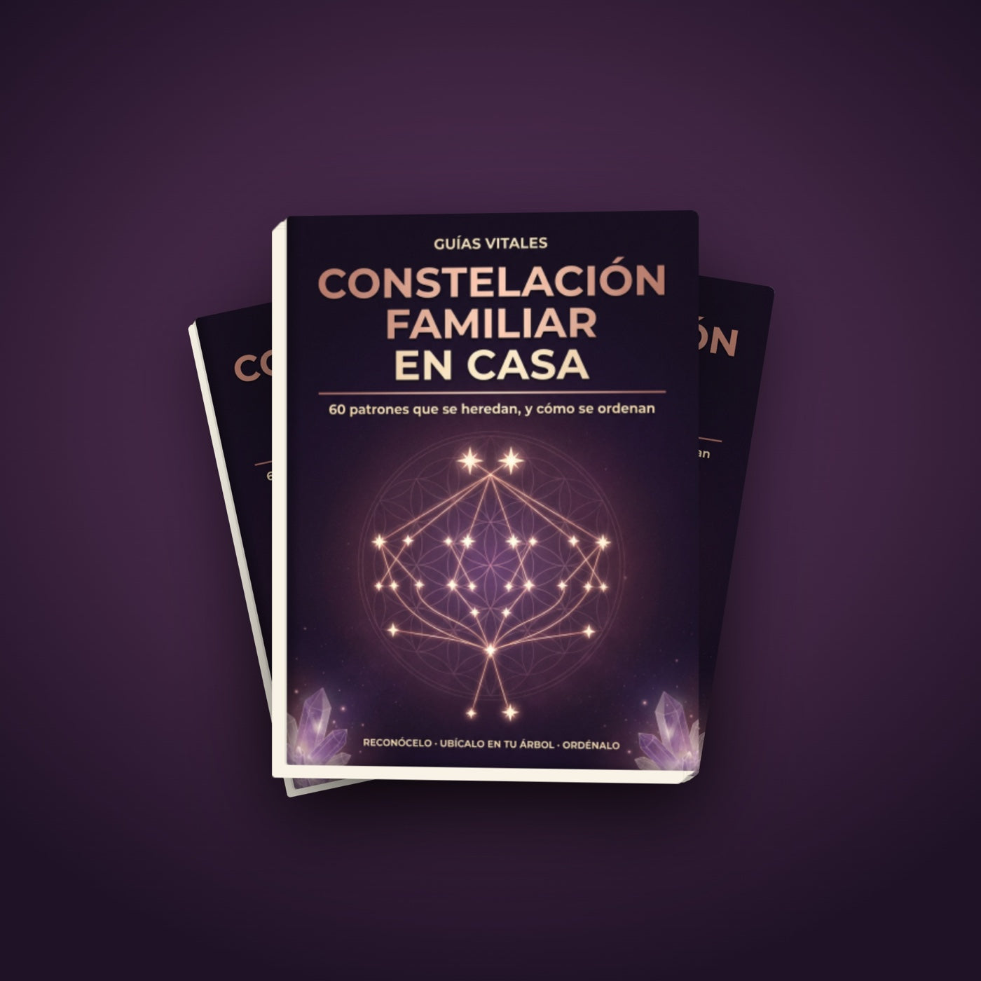 Constelación Familiar en Casa — Paquete Básico