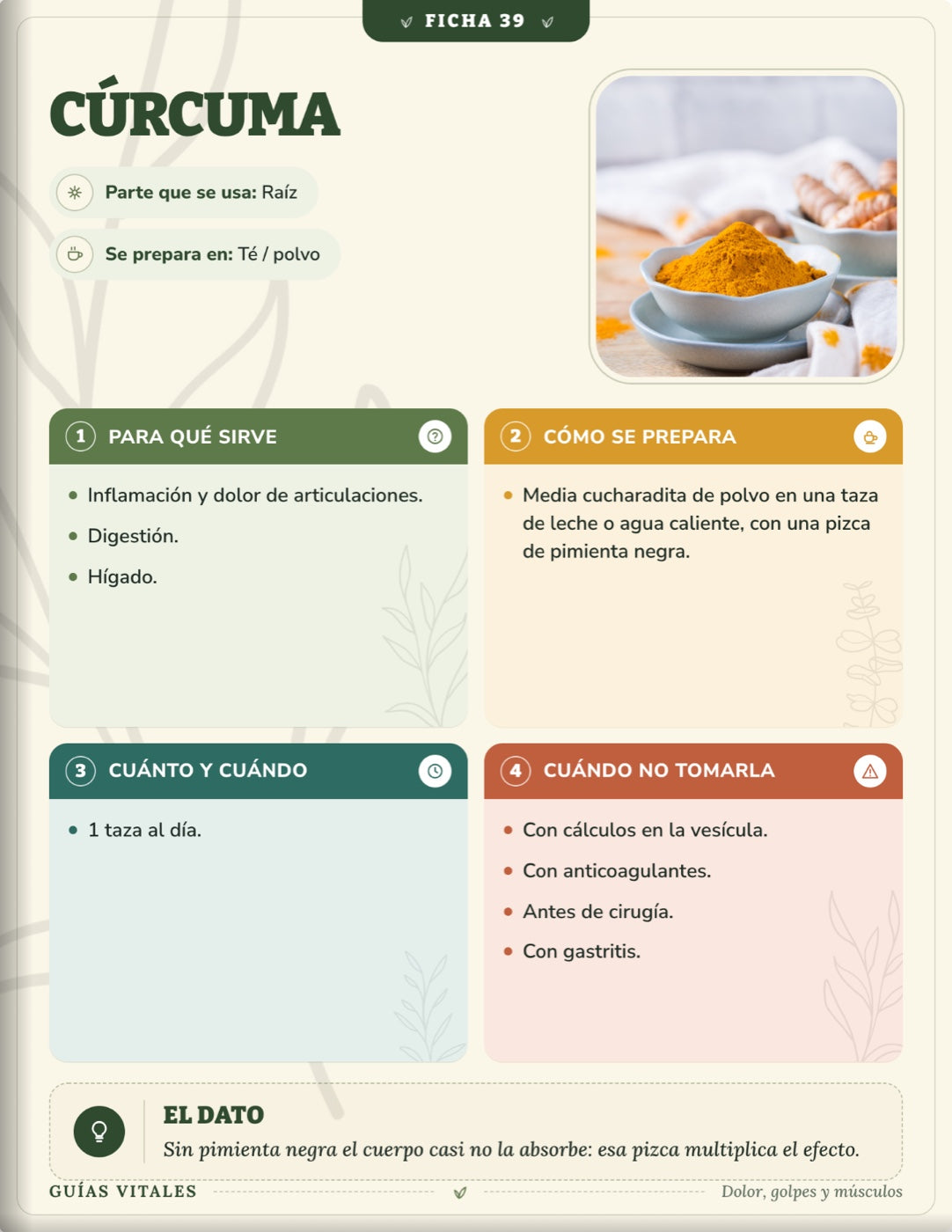 100 Plantas Que Sí Sirven — Paquete Completo