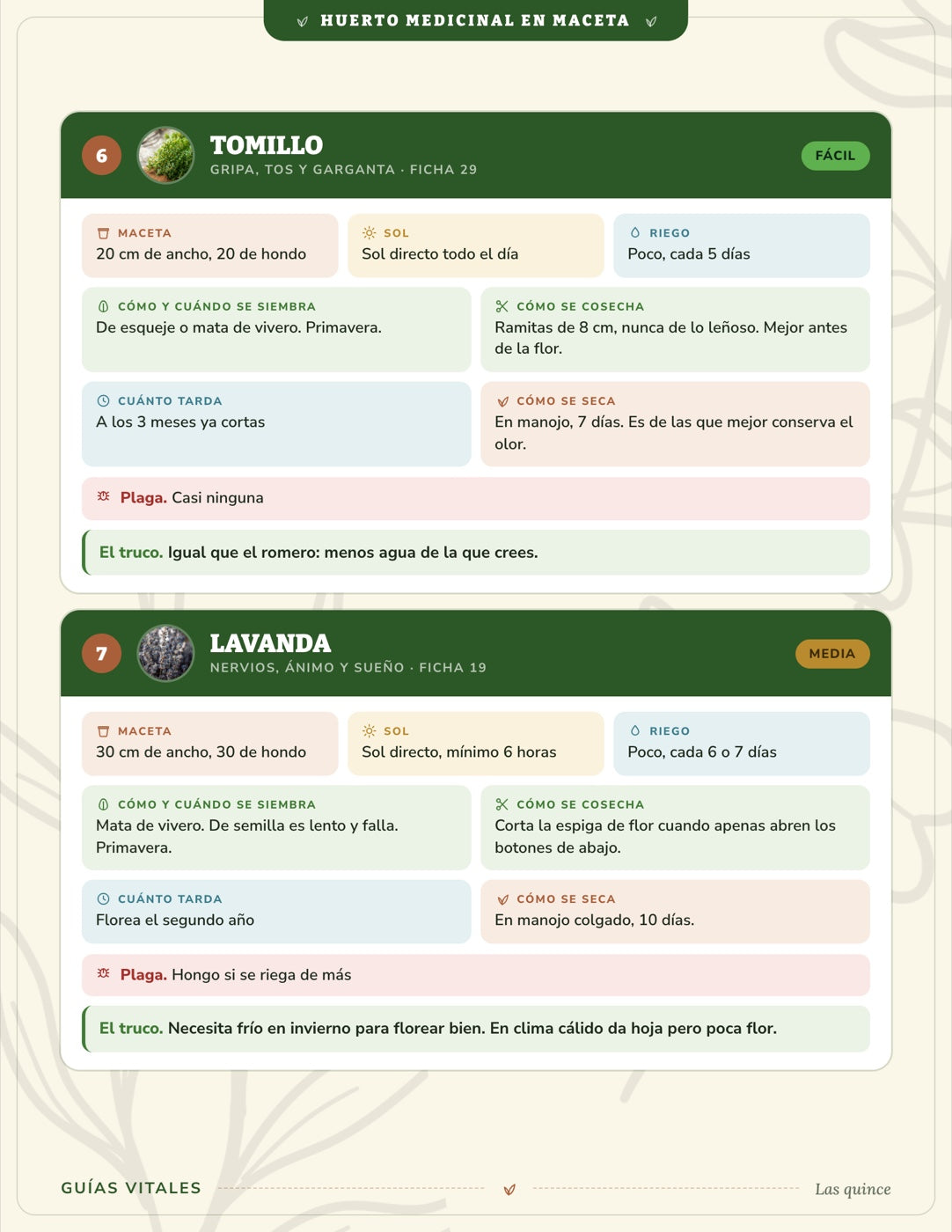 Huerto Medicinal en Maceta — 15 plantas en tu balcón