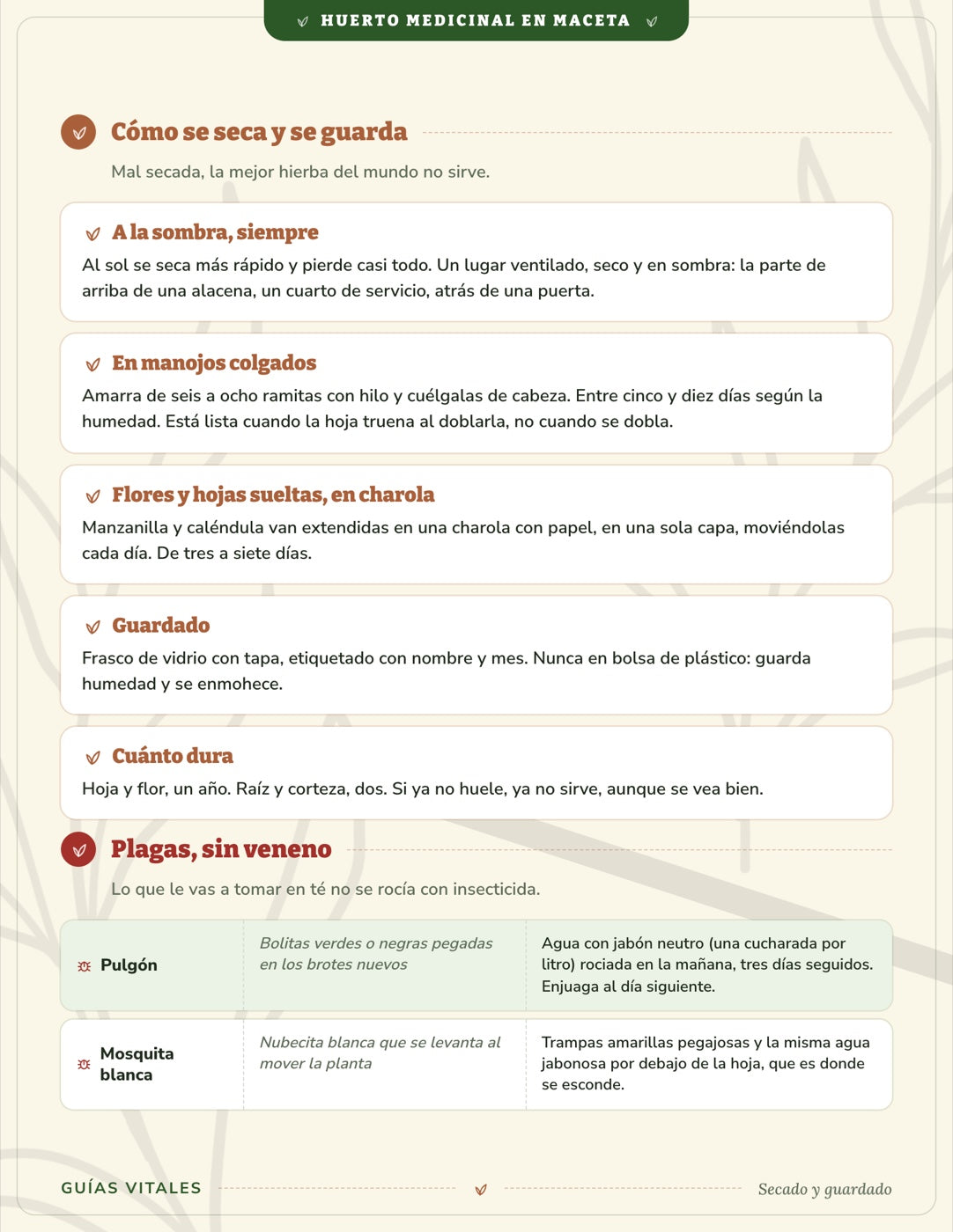 Huerto Medicinal en Maceta — 15 plantas en tu balcón
