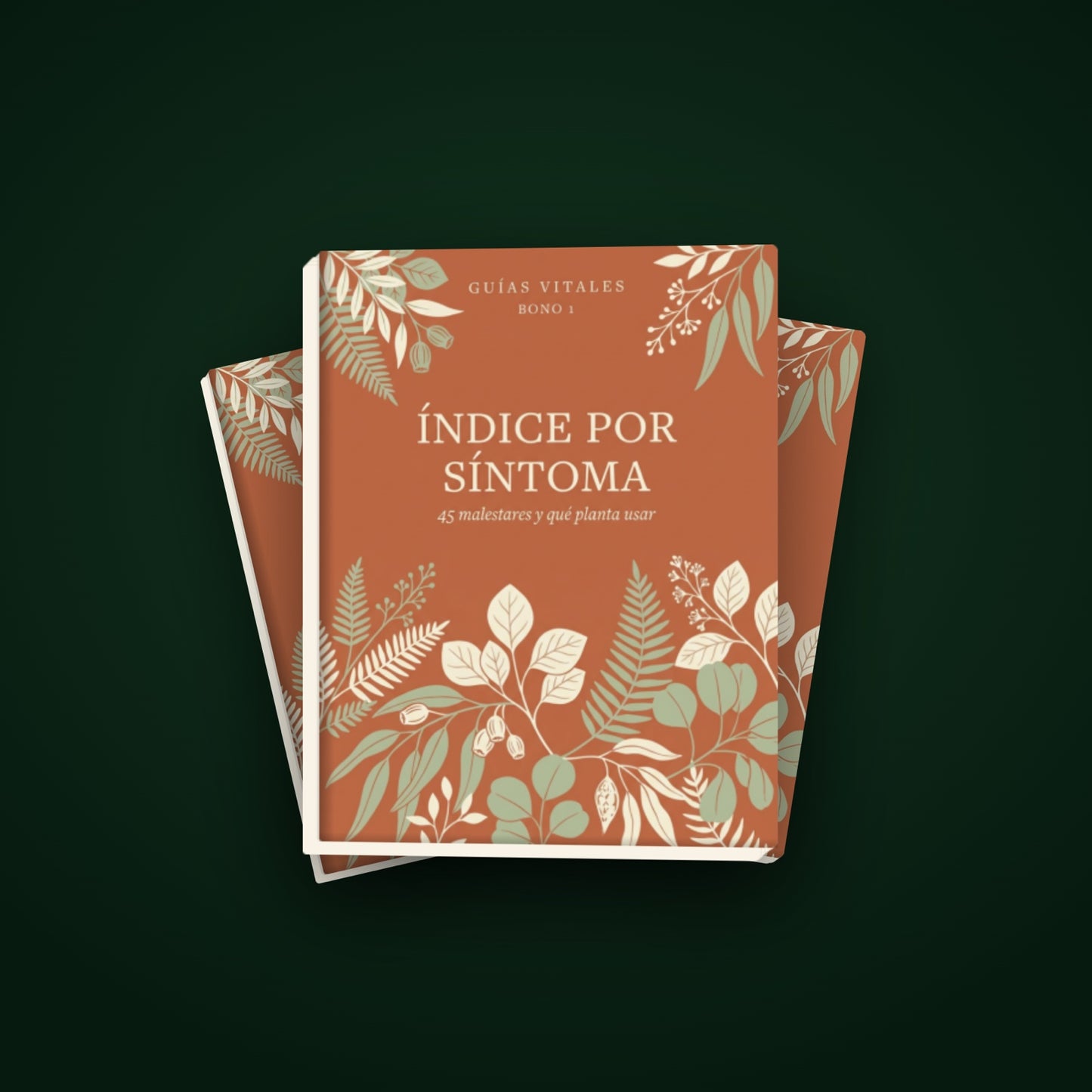 100 Plantas Que Sí Sirven — Paquete Completo