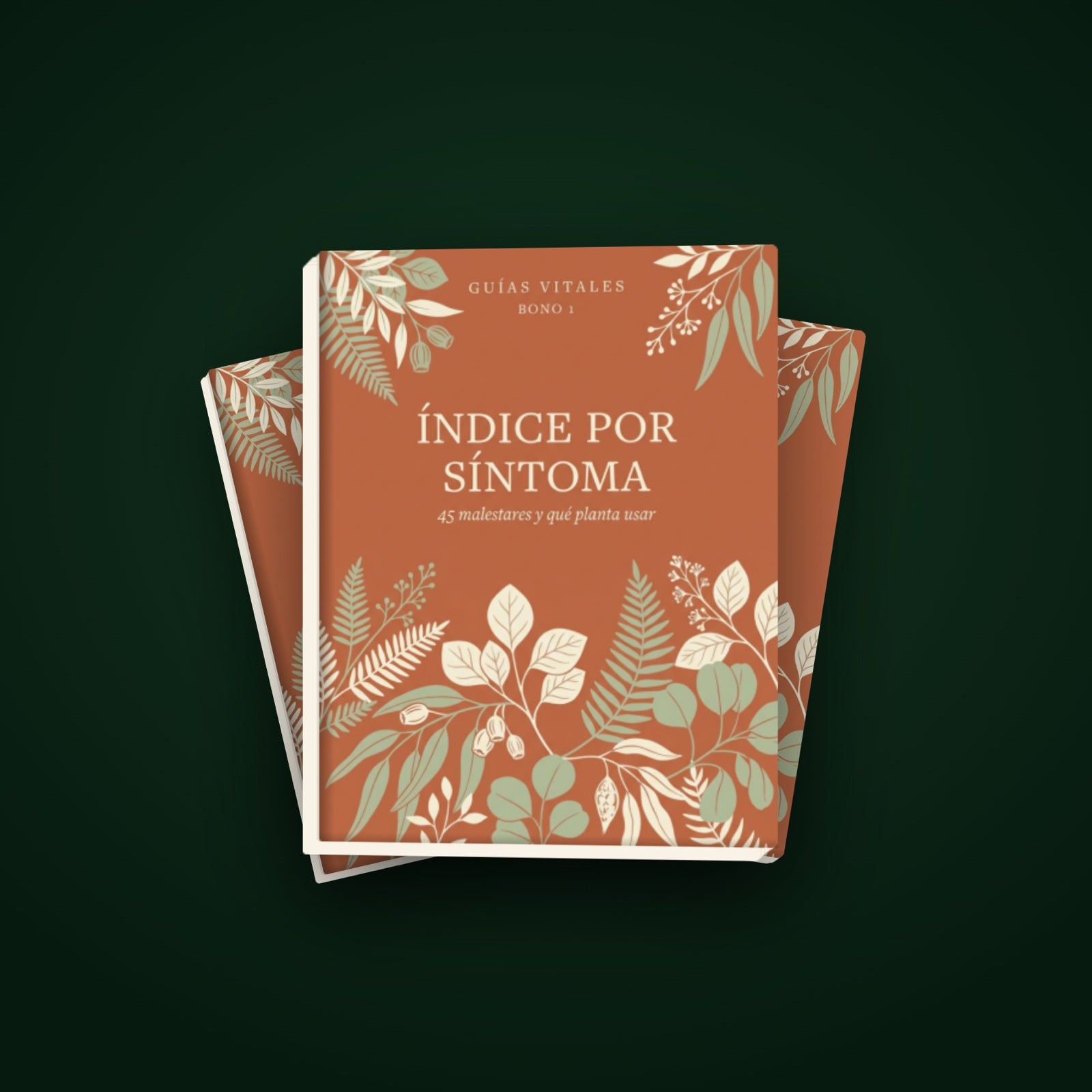 100 Plantas Que Sí Sirven — Paquete Completo