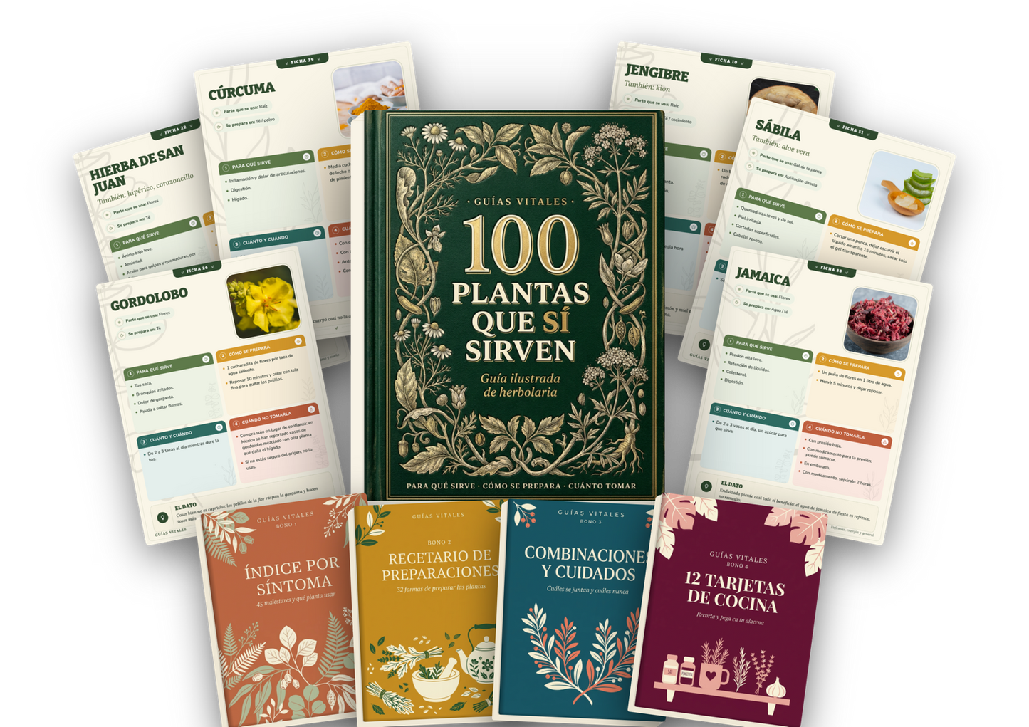 100 Plantas Que Sí Sirven — Paquete Completo