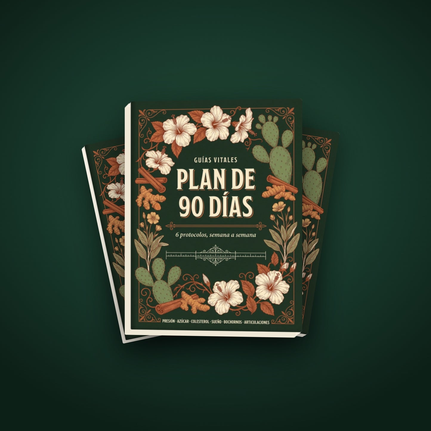 Plan de 90 Días — 6 protocolos por padecimiento