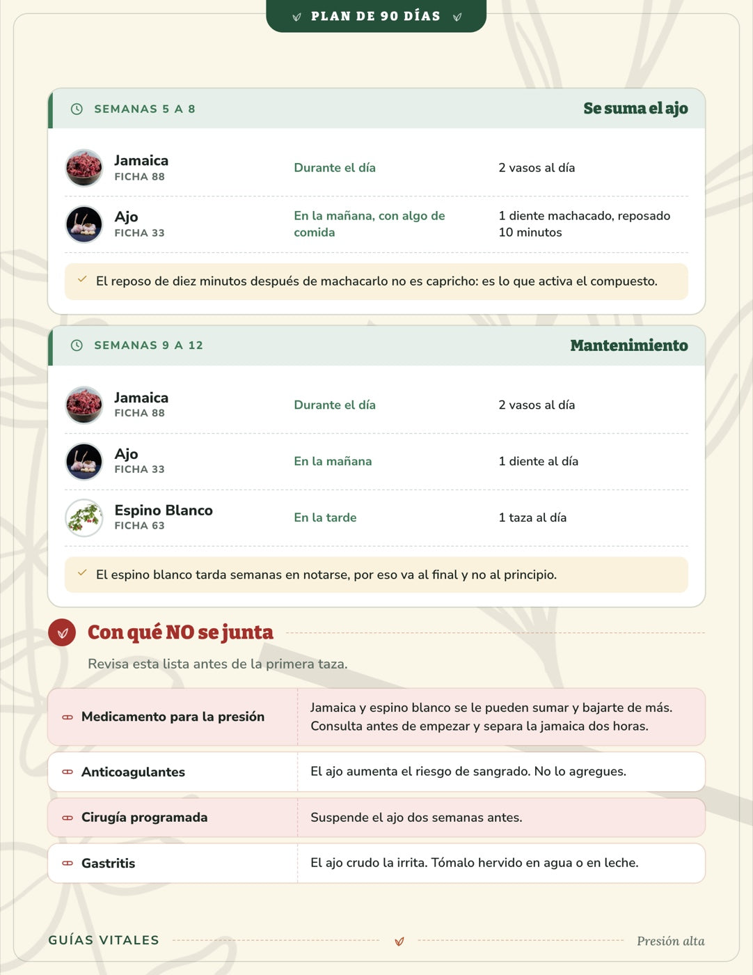 Plan de 90 Días — 6 protocolos por padecimiento