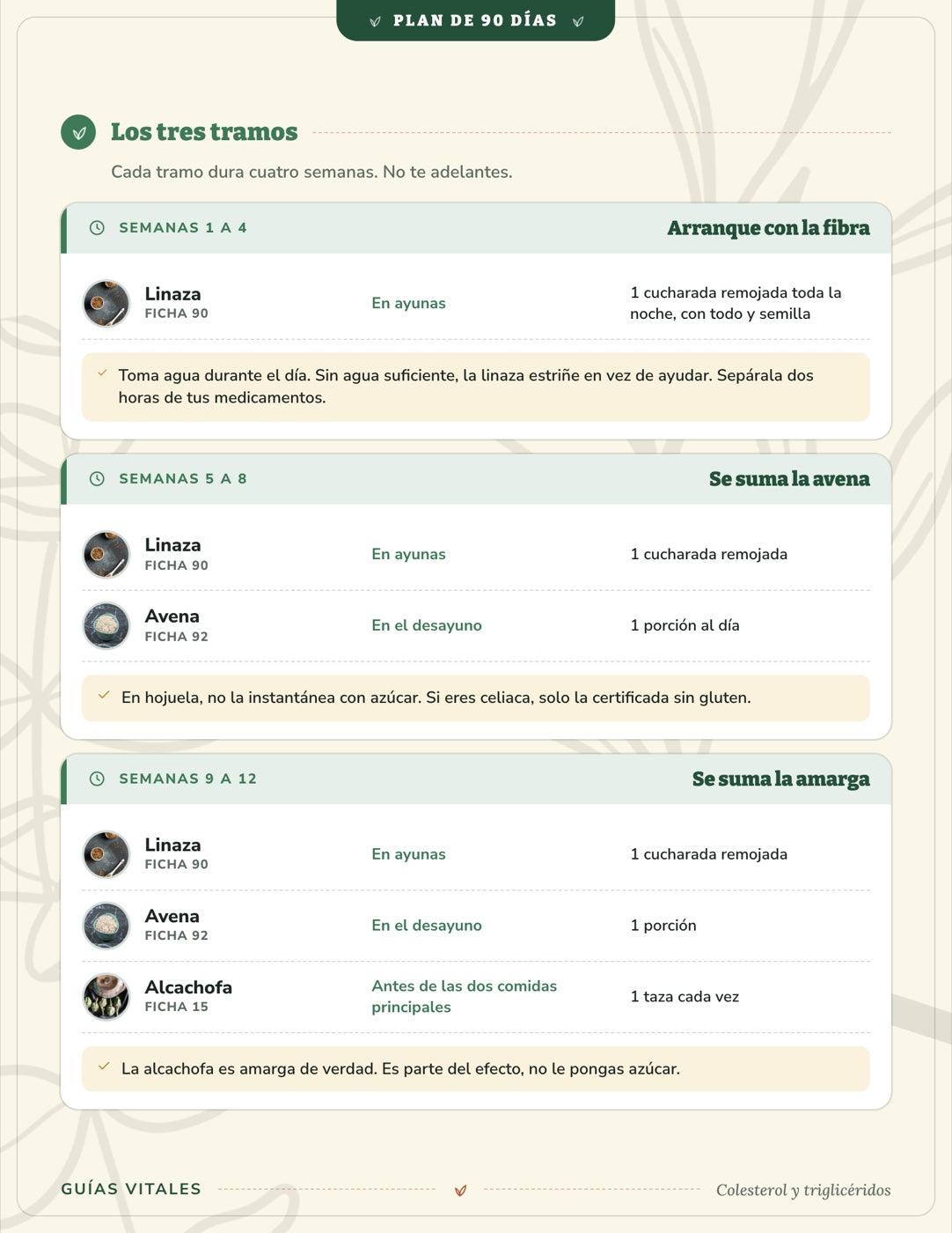 Plan de 90 Días — 6 protocolos por padecimiento