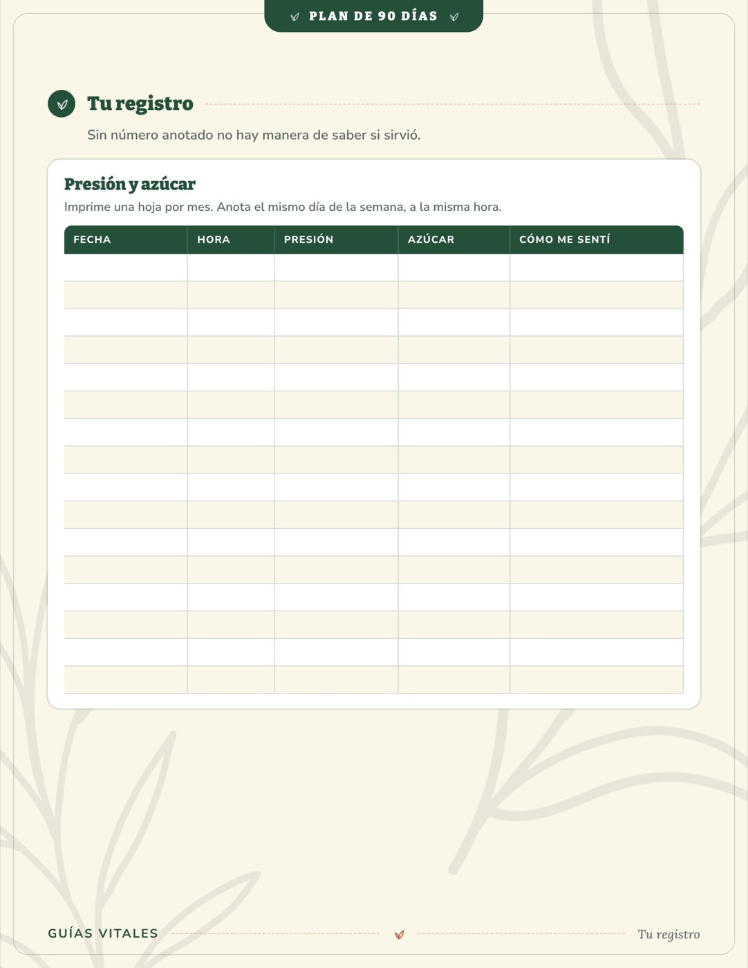 Plan de 90 Días — 6 protocolos por padecimiento