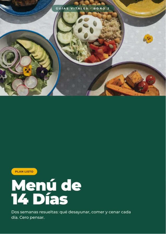 Menú de 14 Días